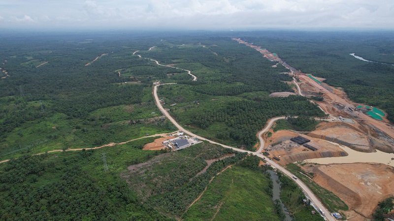 65 Jenis Pohon Pilihan Ada di&nbsp;IKN